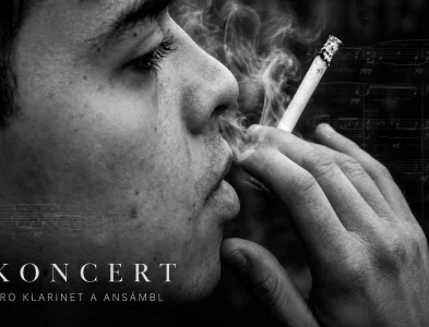 Koncert pro klarinet a ansámbl